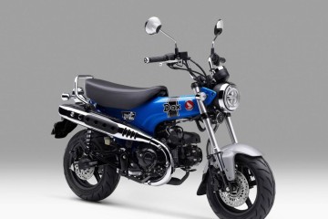 Dax,- transport - 6 lat gwarancji